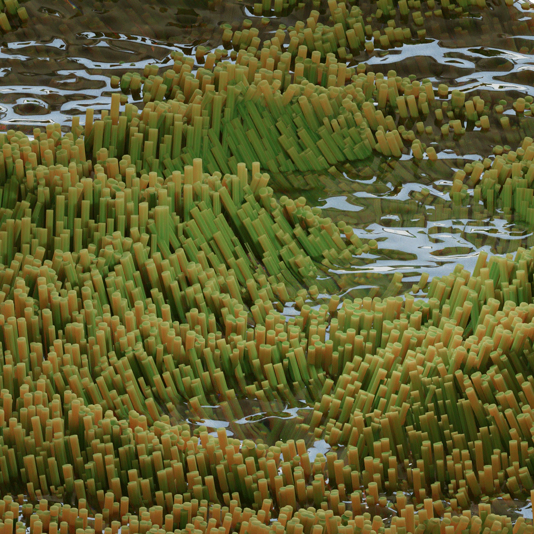 PROCEDURAL WORKS still