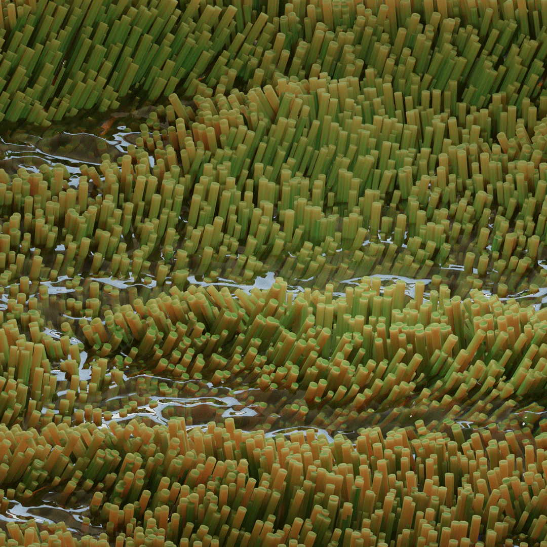 PROCEDURAL WORKS still