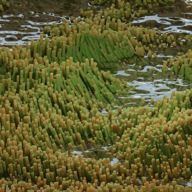 PROCEDURAL WORKS